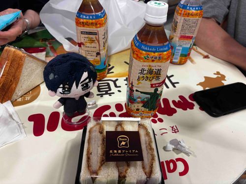 🌹：新千歳空港の中で昼飯もくったし、そろそろFDAの受付にでも向かうか。（尚現在はもう地元に帰還済）

初めて2泊3日の旅行に同行したが楽しかったな。