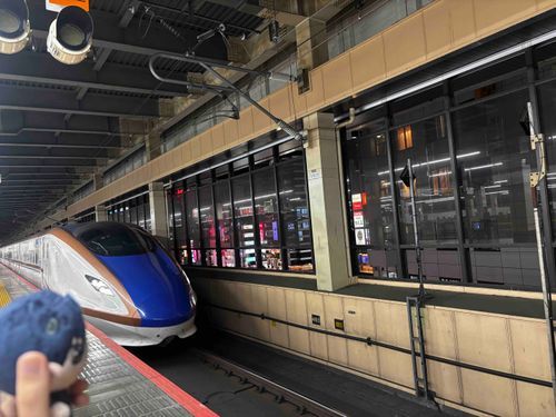 🌹：同行していた従姉をホームから見送りつつ（従姉は東京から のぞみに乗り換えて愛知に戻るらしい）
夕飯を買ったりトイレに行ったりして…今度は我々の番か。

北陸新幹線はくたかに乗って地元に
帰らなくてはな。