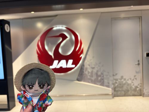 🌹🕶：おはよう これから日本航空のエアバスA350-900に乗って沖縄に出発する。

🌹：9時40分発だったな。