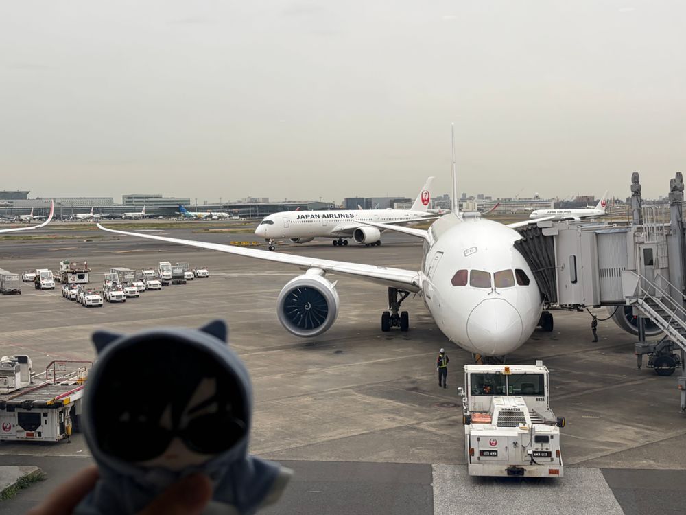 🌹🕶：おはよう これから日本航空のエアバスA350-900に乗って沖縄に出発する。

🌹：9時40分発だったな。