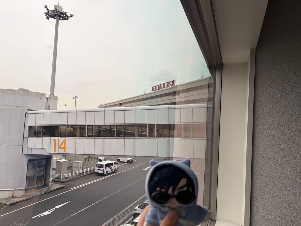 🌹🕶：おはよう これから日本航空のエアバスA350-900に乗って沖縄に出発する。

🌹：9時40分発だったな。