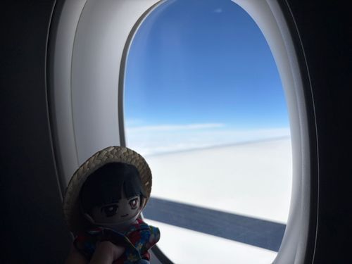 ～沖縄旅行 ①移動編～

🌹🕶：今日の昼ぐらいに無事に沖縄に着いたんだが、雨がかなり激しかったよ。そんな中初めてゆいレールに乗ったが駅に近づく度に車内で沖縄民謡メロディーが流れてて良かった。

🌹：駅ごとに沖縄民謡メロディーが違ってそこも良かったな。
