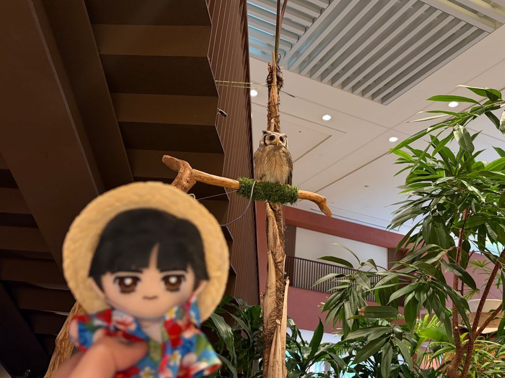 ～沖縄旅行⑥ 朝のホテル編～

🌹：このホテル、朝食バイキングの内容がなかなかバリエーションが豊富だった。魚（刺身も）が美味かったよ。

🌹🕶：このホテル、本物の動物がいるんだな。フクロウとリクガメ、リスザルが見れるんだ。だいぶ可愛いぞ。