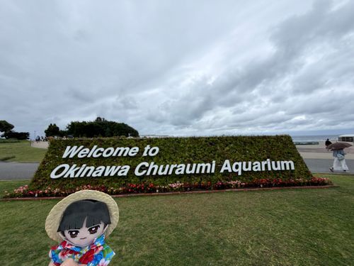 ～沖縄旅行⑦  美ら海水族館編～

🌹🕶：1番最初に来たのは美ら海水族館だ。初めてジンベエザメを目の前で見たんだが本当にデカイな。
熱帯魚もとても綺麗だった。