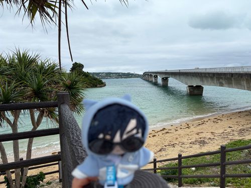 ～沖縄旅行⑨ 古宇利大橋編～

🌹：次に来たのが古宇利島の古宇利大橋だ。天気は相変わらずイマイチだが少しエメラルドっぽいところがあってこれはこれで綺麗だった。
…その後は少し休んだが。
