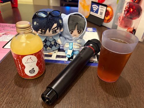 🌹：今日は心音とその友人と久しぶりにカラオケに行ってきた。フリータイムでやったが、満室になった関係で3時間ちょっとくらいで出されてしまったがな💧‬（昼はラーメンを食べていた）

🌹🕶：その後はすぐ近くでやっていた車のイベント、ノスタルジックカーフェスティバルにその友人と行き終わる時間まで（1時間程）行っていたが
友人も色々撮影していたな。
特に驚いたのは入口のすぐ近くにかのBack to the futureに出てきたデロリアンがいたことだ。
ちゃんと黄色いBOXもあったり後ろにタイムスリップするためのマシン（？）も積んであったりして驚いたよ。