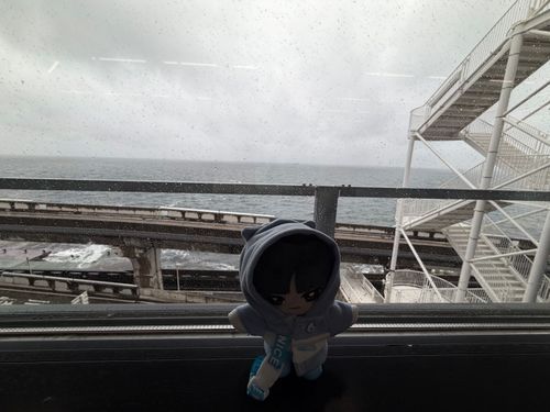 1泊2日旅行 ～千葉 初日～

🌹🕶：今年四回目の千葉に行ってきたが天気はかなり悪く風も強かった。
持っていったフォーマルスーツが雨風でびしょびしょになってしまったよ。
…ところでアクアラインにちーばくんのクリームパンというものが売っていた。中々良い出来じゃないか。