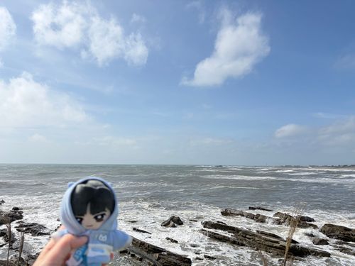1泊2日旅行 ～千葉 犬吠埼編～

🌹🕶：次に来たのが犬吠埼の灯台だ。ここらひたすらに風が強く波が常にでかく荒れていたな。風が強いせいで灯台の展望台にはのぼれなかった。