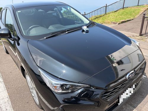 🌹🕶:今回のレンタカー SUBARUの𝗜𝗠𝗣𝗥𝗘𝗭𝗔で函館山山頂まで来た。
心音は昼間の函館山は初めてだそうだが、絶景だな。