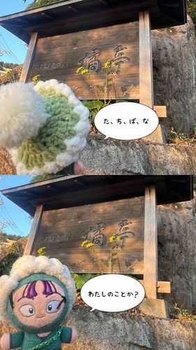 漢字が違うね