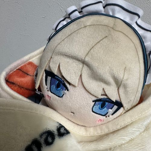 作戦待機中…ぶい