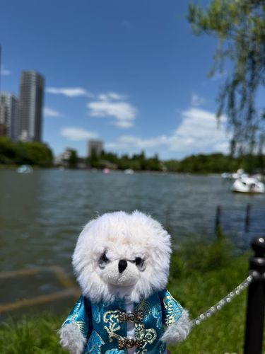 こうえんでひなたぼっこ☀️☺︎ 