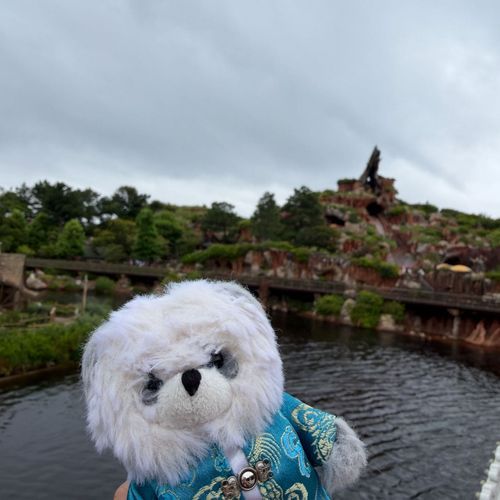 ランドデビュー‎🏰‎🤍