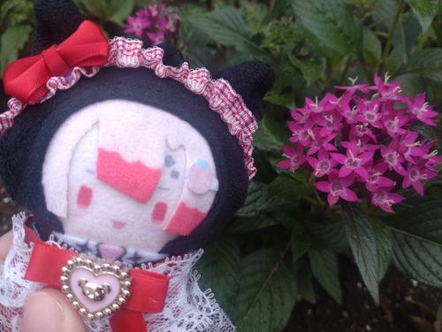 近所の公園のお花見せてくれたっす！