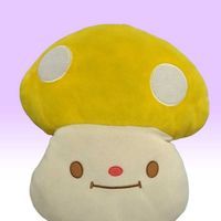 きのたん