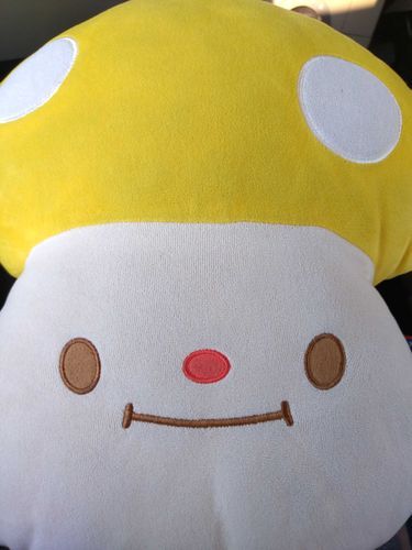 持ち主さんとデートしたよ🍄
おでかけ好きのこ💕