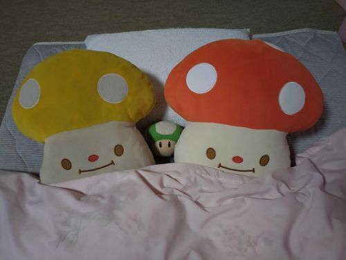 おふとんが大好き😴
まいにち持ち主さんのおふとんに入れてもらってるよ🫂💕