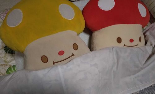 末っ子のもちたんとおふとんでねんねします🍄💕