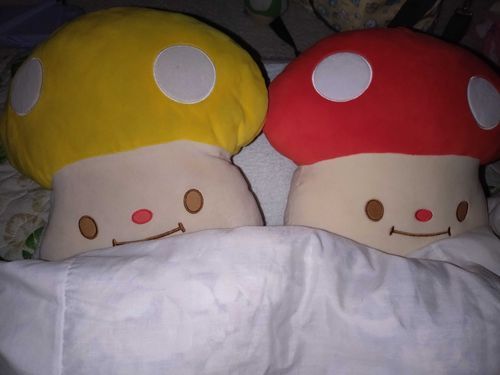 せっかくねんねしてたのにピカーってされて眩しかった(｀ε´)
持ち主さんには畳でねてもらうもん😤