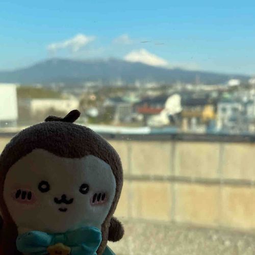 おふじさん🗻