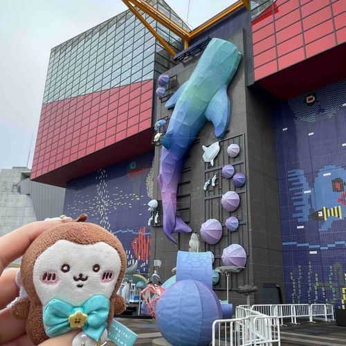 かいゆうかん ジンベイザメが おおきかったの🦈
