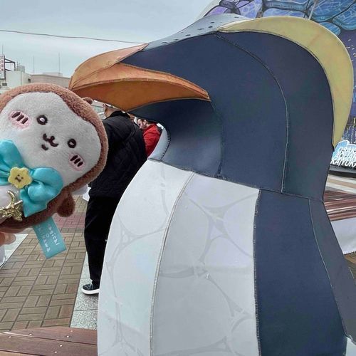 あっっっっっ