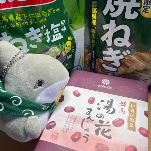 お土産子ザメ