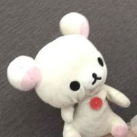 こりちゃん