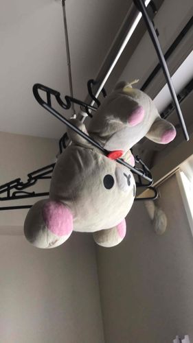 おやすみなのさ