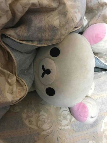 今日は風邪ひいたので寝てました