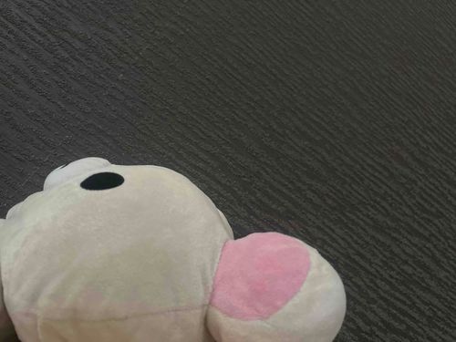 土曜なのでまだ寝てるよ