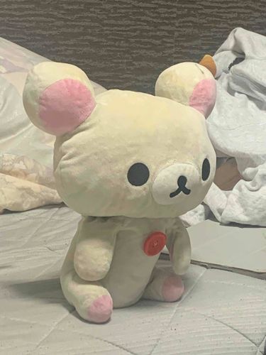不動大名