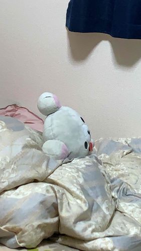 これは洗濯物の色移りして青くなっちゃった時のこりちゃん