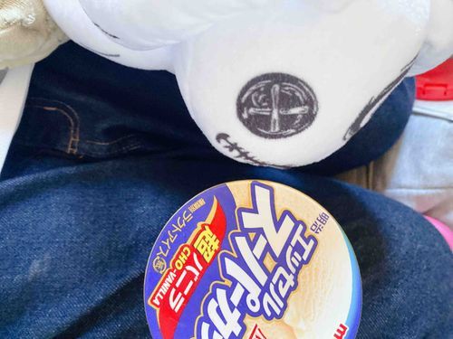 こんにちはせかい 🍫


主が…
アイスを食べていた

あちち やけん
アイス食べたくなるよねえ

わたしも食べたい！！！！

暑さに注意！
主はバテてるけど…



まったりゆったり､ぼちぼち 💐