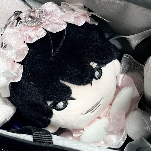 ごちゃつき鞄に入れられ、お気持ち長文中のぬい