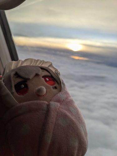 べびぬいはじめての飛行機にのる