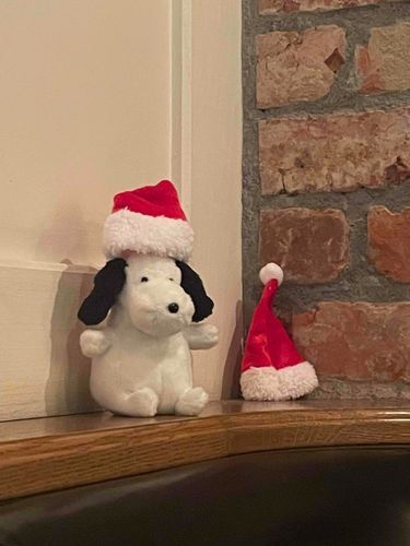 去年のサンタ帽ヤメピ🎅