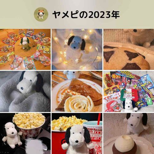 来年も いっぱい おでかけしよう

今年 知り合った皆さん、来年も仲良くしてくれると 嬉しいな。

ヤメピとぬしの日常、これからも見守ってください𖤐ﾐ