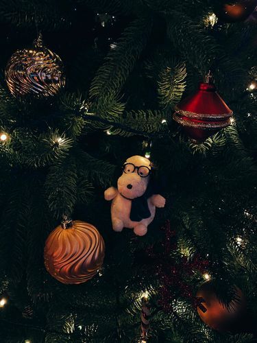 ヤメピとツリー🎄