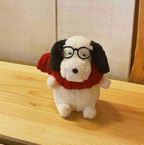 ぬいさんたち🧸
ぬしさんたち🤍

お久しぶりだね ヤメピ だよ。

みんな、おげんき かな？
おぼえてくれてるコはいるかな？

ぬしとヤメピは、
去年のふゆ❄️から今年のなつ☀️まで
おひっこしをして いました。
ぬしといっしょに 新しいばしょ。

もうすっかりあき🍁だね
おでかけ 日和。

新しいばしょ でも、また ぬしとの生活𖠋
これからも 色んなところに 着いていく。