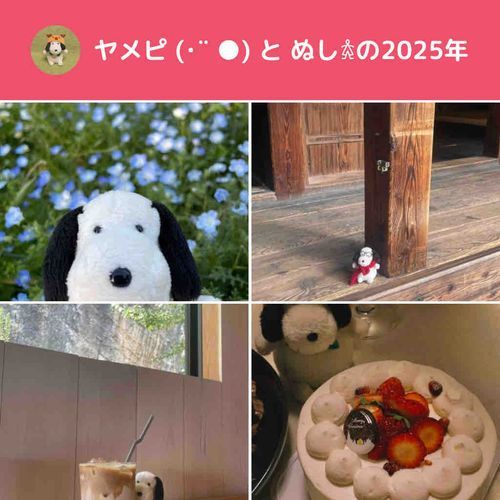 🤍- ̗̀ 𝙷𝚊𝚙𝚙𝚢 𝙽𝚎𝚠 𝚈𝚎𝚊𝚛  ̖́-🐴

主様とぬいぐるみ達にとって
良き一年となりますように🧸︎︎⟡