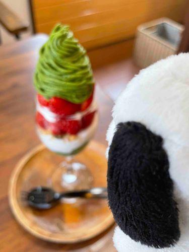 パフェ🥄