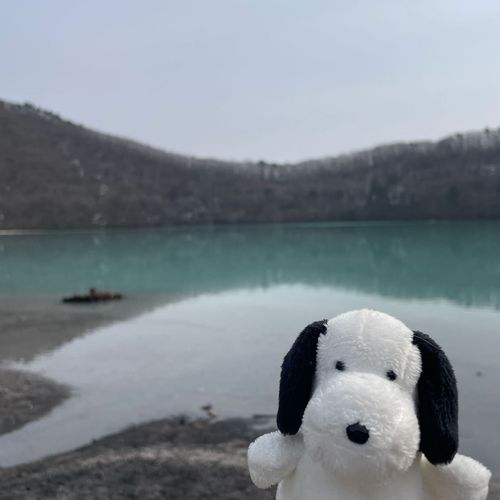 ぬま
