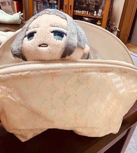 よく飛び出してる