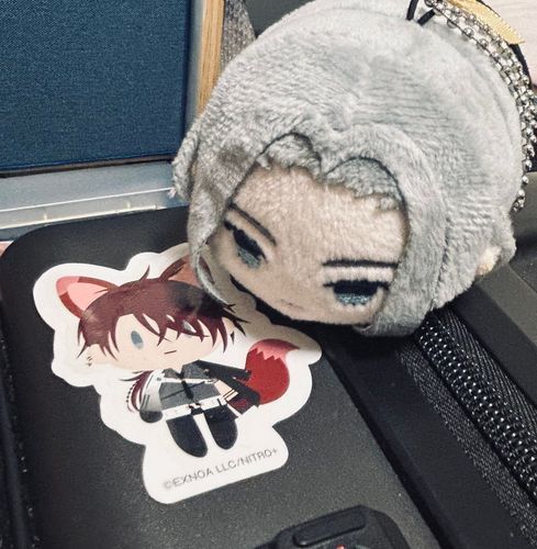 主が旅の支度始めた

これは荷物守ってくれてる狐のごっちん