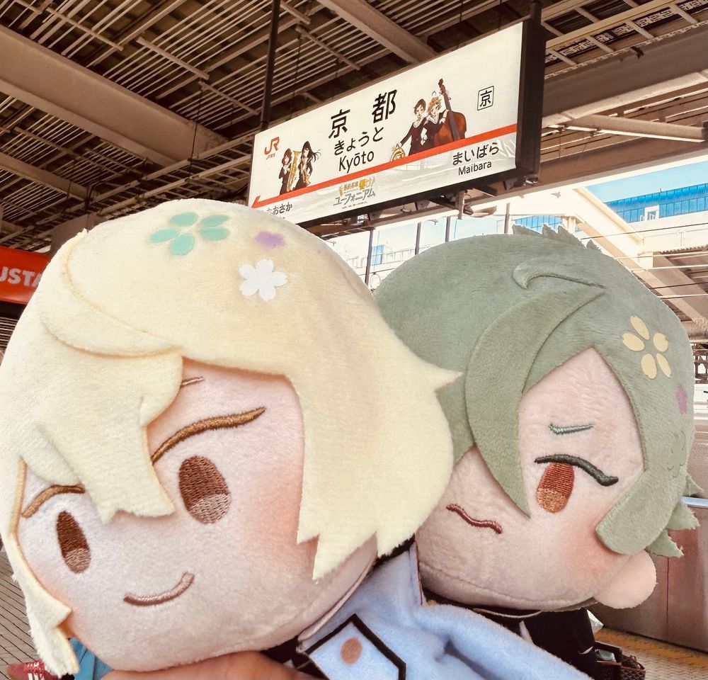 京都に来たぞー！！！！
とりあえず朝イチ大覚寺キメた