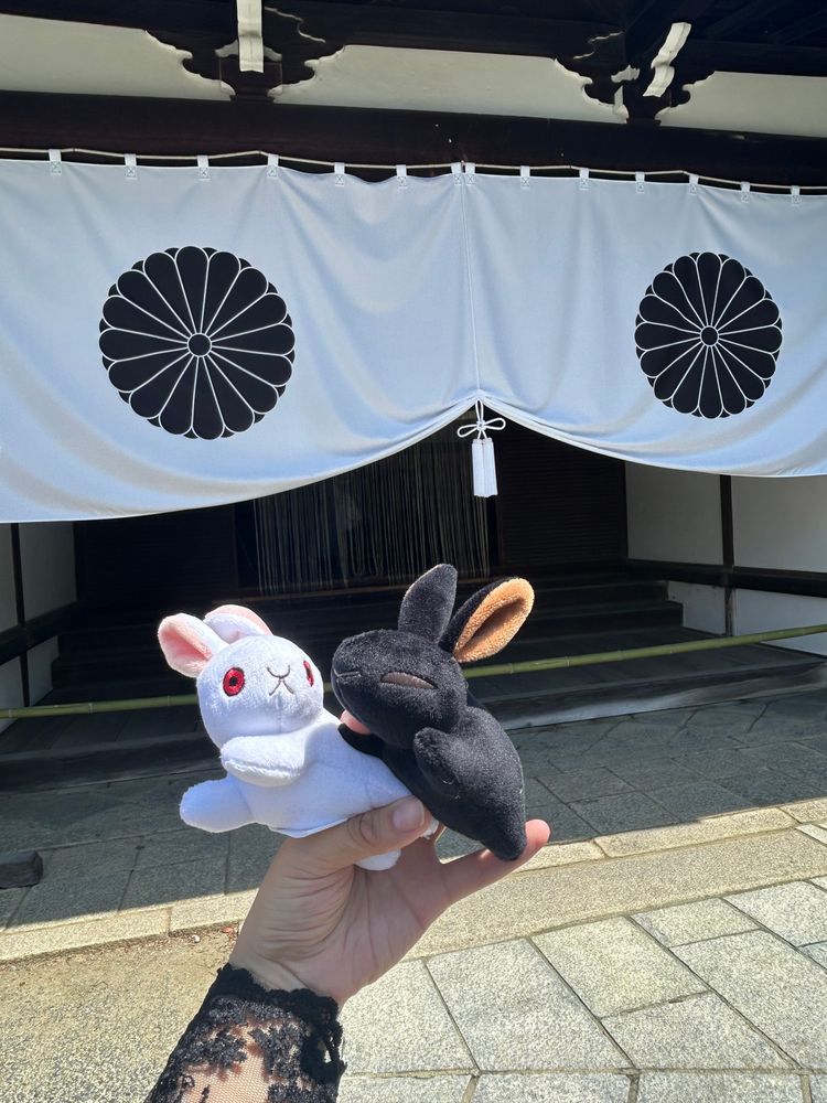 京都に来たぞー！！！！
とりあえず朝イチ大覚寺キメた