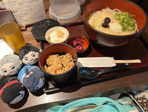 主、はいった店のうどんがでっかくてフリーズした(美味しく頂いた