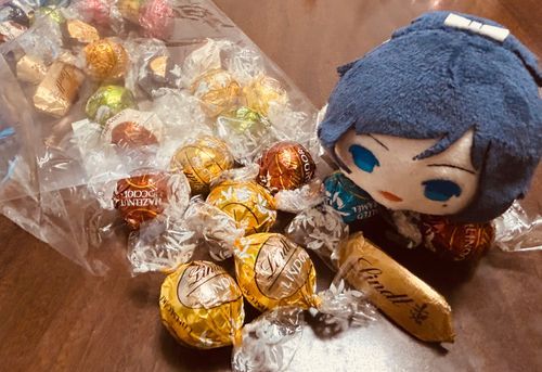 近所のメイトで、デカイもちの安定がポツンといたのでお迎えした。

リンツとりあえず食うか？