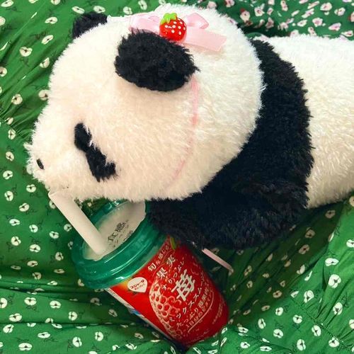 いちごだいすきパンダとして…ッ！🍓🐼💕